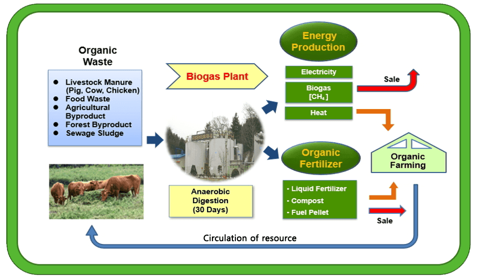Process of producing biogas from waste