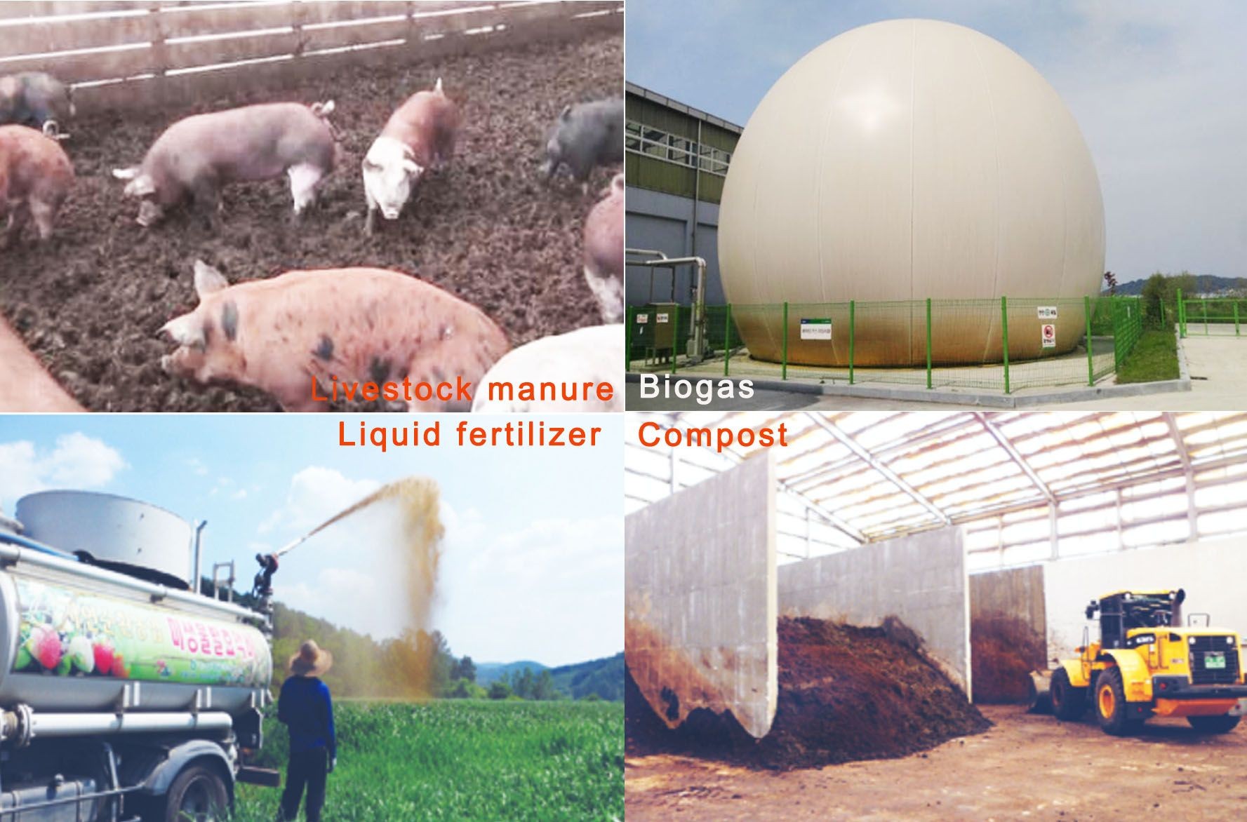 FoodWaste to Biogas